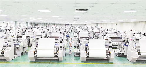 激活科技赋能新引擎——我市以创新驱动助力新材料科技高质量发展综述