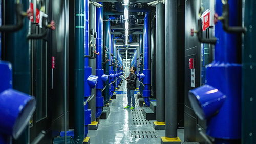 中国棉花协会引领新材料科技领域的技术开发与创新突破